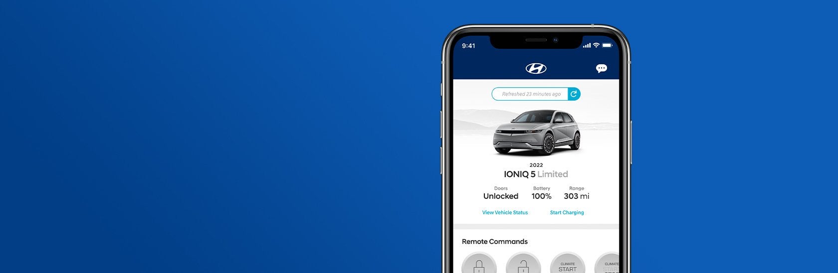 Phone screen displaying Bluelink app